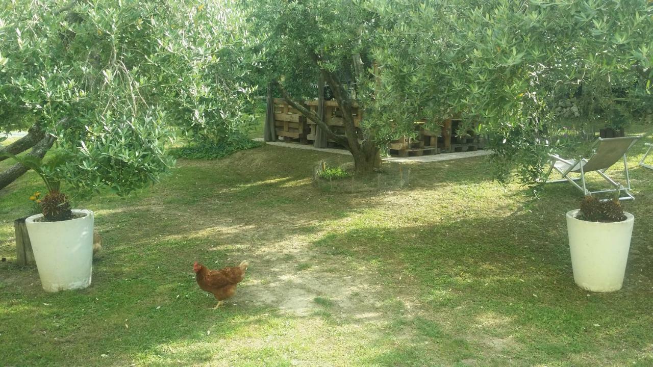 Bed and Breakfast People Castorano Exterior foto